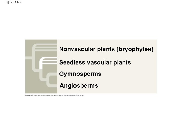 Fig. 29 -UN 2 Nonvascular plants (bryophytes) Seedless vascular plants Gymnosperms Angiosperms 