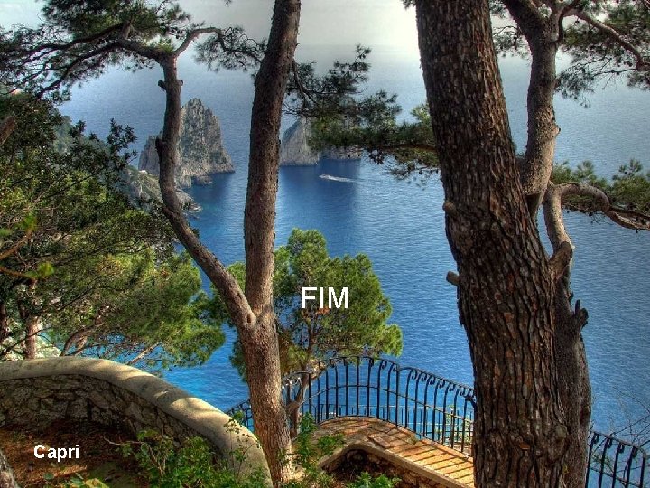 FIM Capri FIM Capri