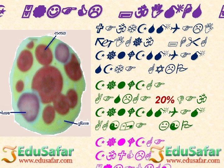 L J 7 Fg Vg 8sgm Wmz 6