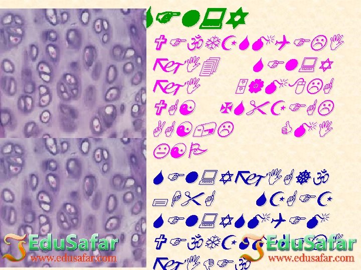 L J 7 Fg Vg 8sgm Wmz 6