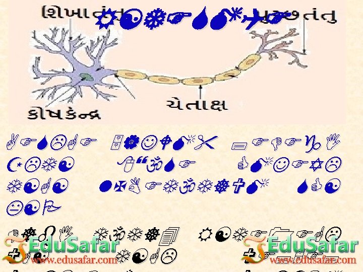 L J 7 Fg Vg 8sgm Wmz 6