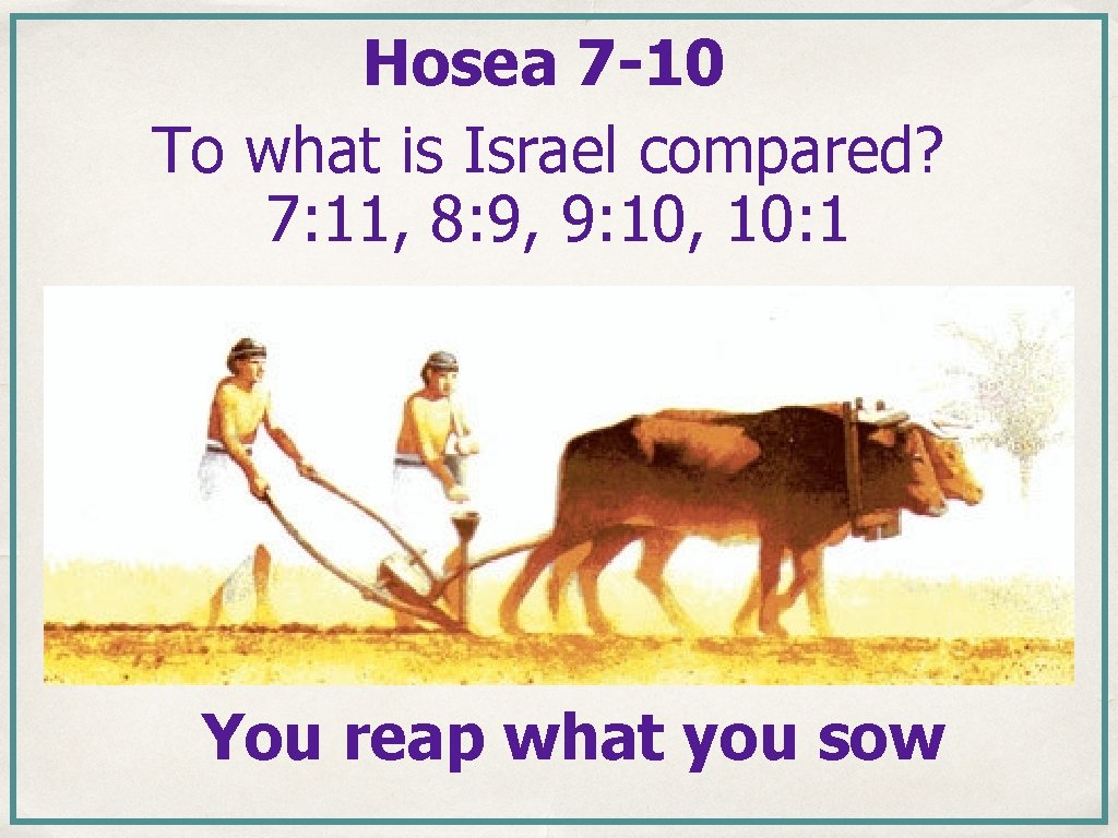 Hosea 7 -10 To what is Israel compared? 7: 11, 8: 9, 9: 10, Hosea 7 -10 To what is Israel compared? 7: 11, 8: 9, 9: 10,