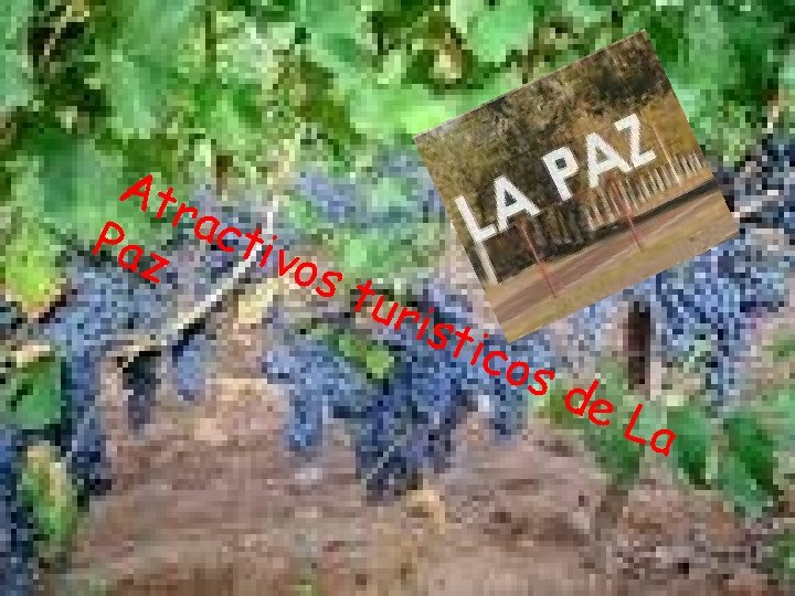 At rac Paz tiv o st uri sti cos de L a 