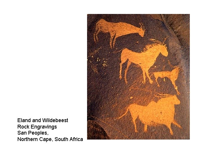 Eland Wildebeest Rock Engravings San Peoples, Northern Cape, South Africa 
