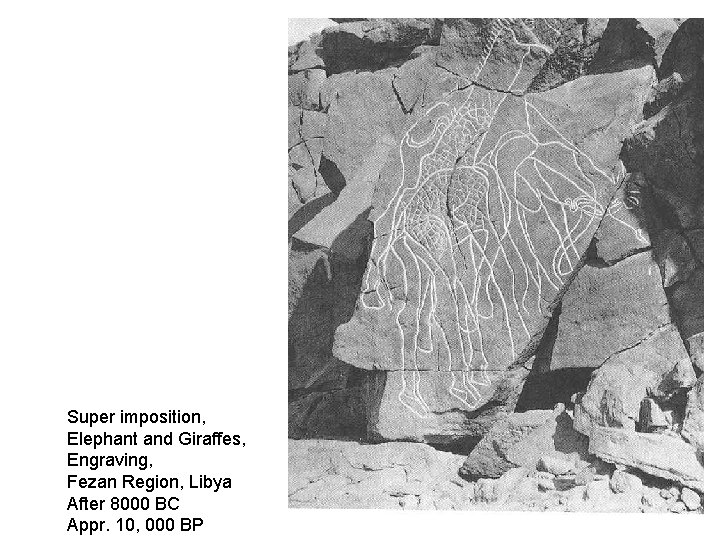 Super imposition, Elephant and Giraffes, Engraving, Fezan Region, Libya After 8000 BC Appr. 10,