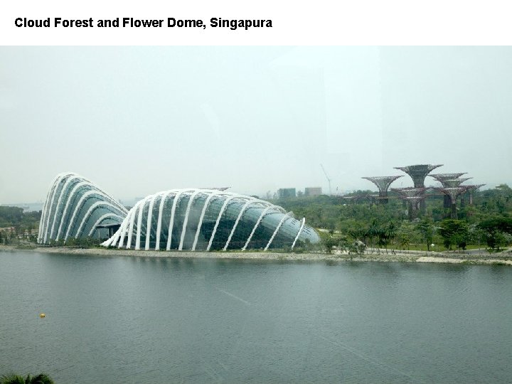 Cloud Forest and Flower Dome, Singapura 