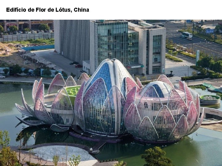 Edifício de Flor de Lótus, China 