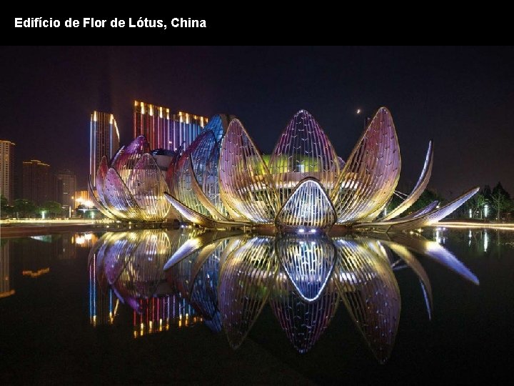 Edifício de Flor de Lótus, China 