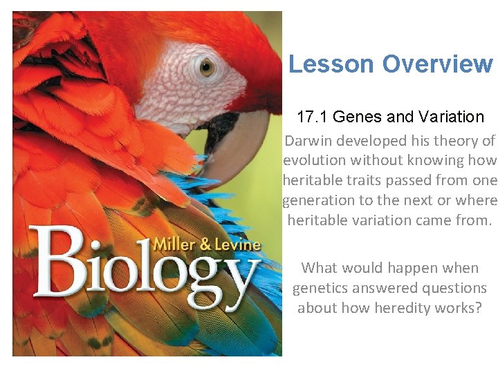 Lesson Overview 17. 1 Genes and Variation Darwin developed his theory of evolution without