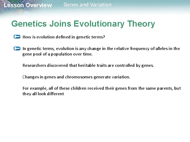 Lesson Overview Genes and Variation Genetics Joins Evolutionary Theory How is evolution defined in