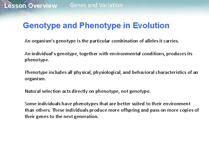 Lesson Overview Genes and Variation Genotype and Phenotype in Evolution An organism’s genotype is