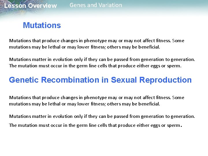 Lesson Overview Genes and Variation Mutations that produce changes in phenotype may or may