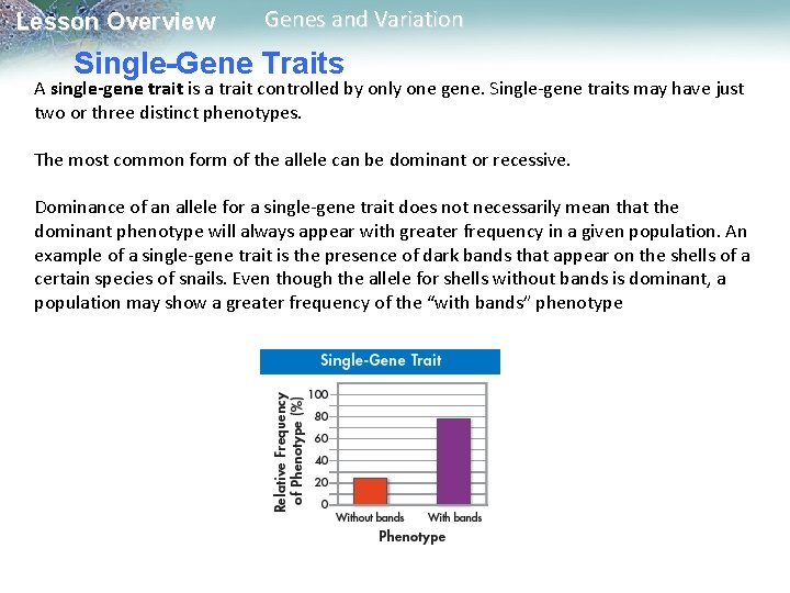 Lesson Overview Genes and Variation Single-Gene Traits A single-gene trait is a trait controlled