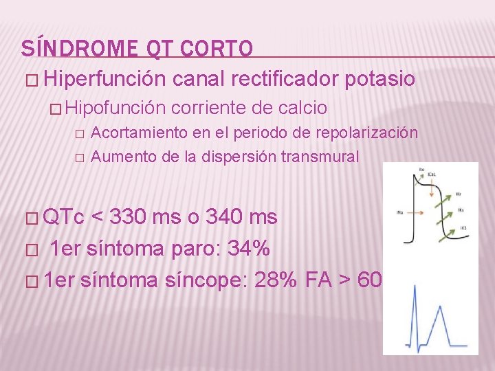 SÍNDROME QT CORTO � Hiperfunción � Hipofunción � � � QTc canal rectificador potasio