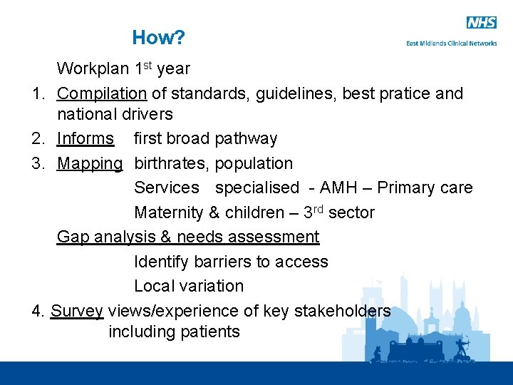 How? Workplan 1 st year 1. Compilation of standards, guidelines, best pratice and national