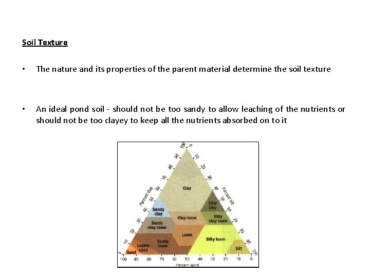 Soil Texture • The nature and its properties of the parent material determine the