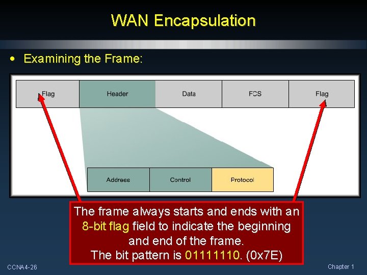 WAN Encapsulation • Examining the Frame: The frame always starts and ends with an