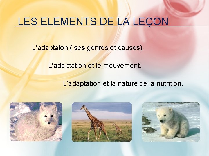 LES ELEMENTS DE LA LEÇON L’adaptaion ( ses genres et causes). L’adaptation et le