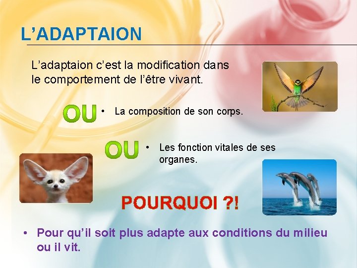 L’ADAPTAION L’adaptaion c’est la modification dans le comportement de l’être vivant. • La composition