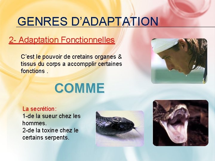 GENRES D’ADAPTATION 2 - Adaptation Fonctionnelles C’est le pouvoir de cretains organes & tissus