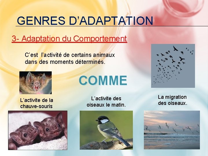 GENRES D’ADAPTATION 3 - Adaptation du Comportement C’est l’activité de certains animaux dans des