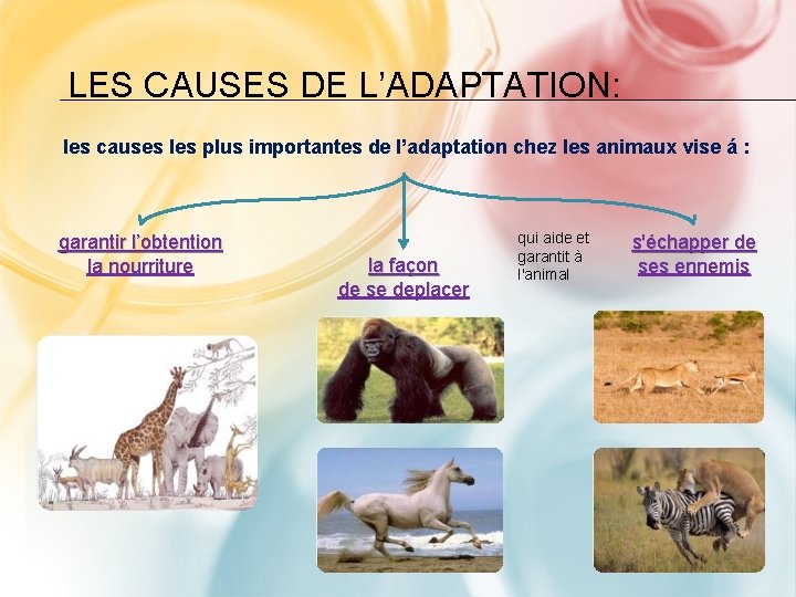 LES CAUSES DE L’ADAPTATION: les causes les plus importantes de l’adaptation chez les animaux