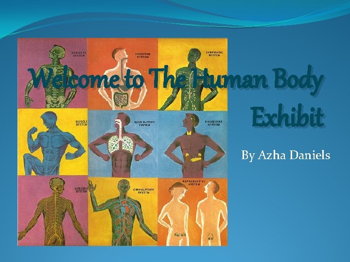 Welcome to The Human Body Exhibit By Azha Daniels 