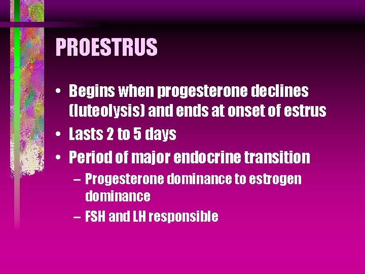 PROESTRUS • Begins when progesterone declines (luteolysis) and ends at onset of estrus •