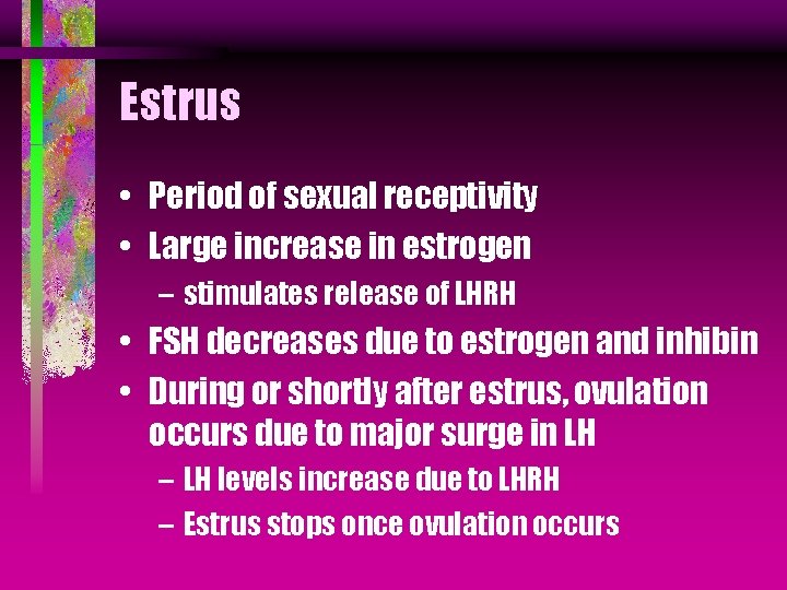 Estrus • Period of sexual receptivity • Large increase in estrogen – stimulates release