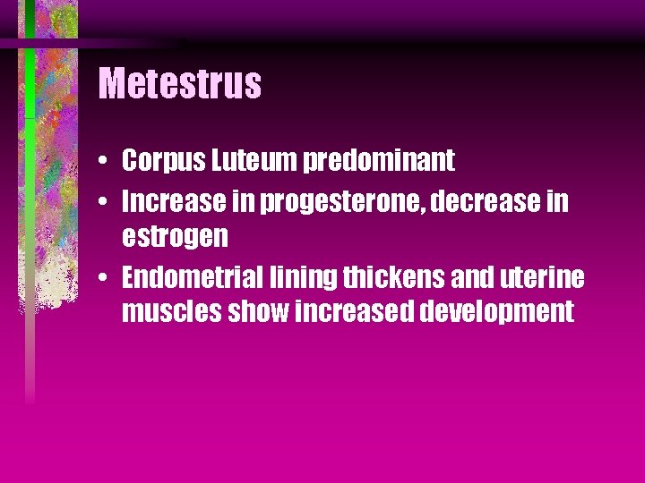 Metestrus • Corpus Luteum predominant • Increase in progesterone, decrease in estrogen • Endometrial