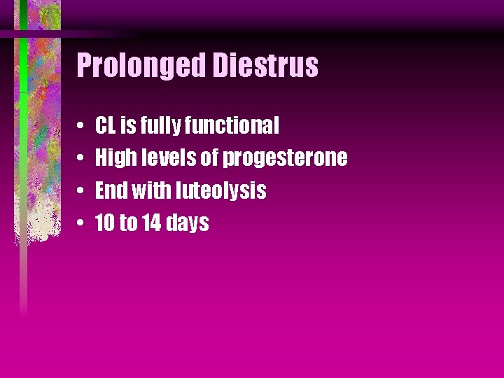 Prolonged Diestrus • • CL is fully functional High levels of progesterone End with Prolonged Diestrus • • CL is fully functional High levels of progesterone End with