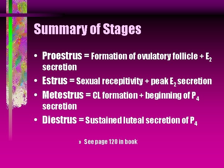 Summary of Stages • Proestrus = Formation of ovulatory follicle + E 2 secretion