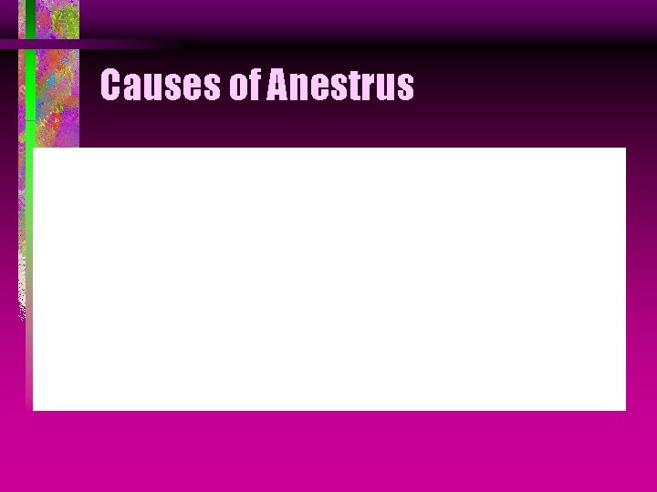 Causes of Anestrus 