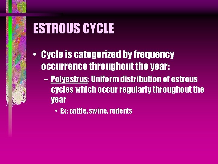 ESTROUS CYCLE • Cycle is categorized by frequency occurrence throughout the year: – Polyestrus: