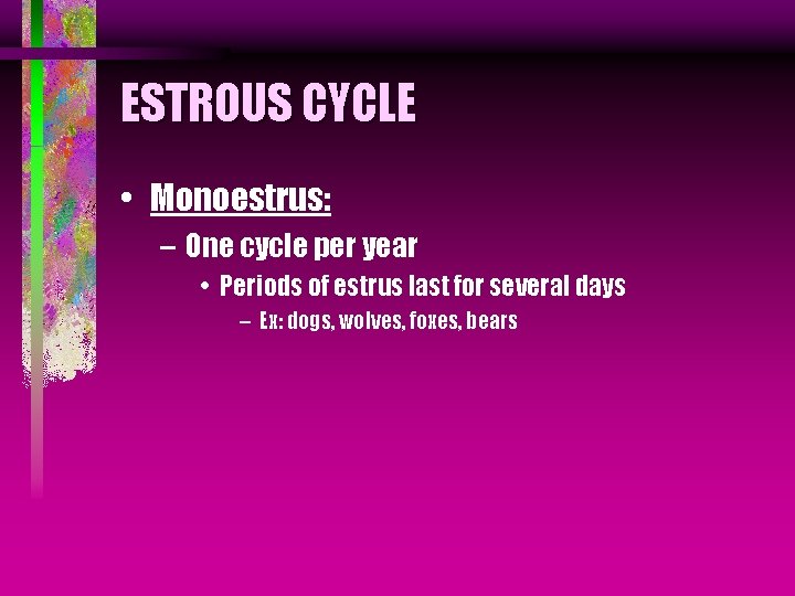 ESTROUS CYCLE • Monoestrus: – One cycle per year • Periods of estrus last