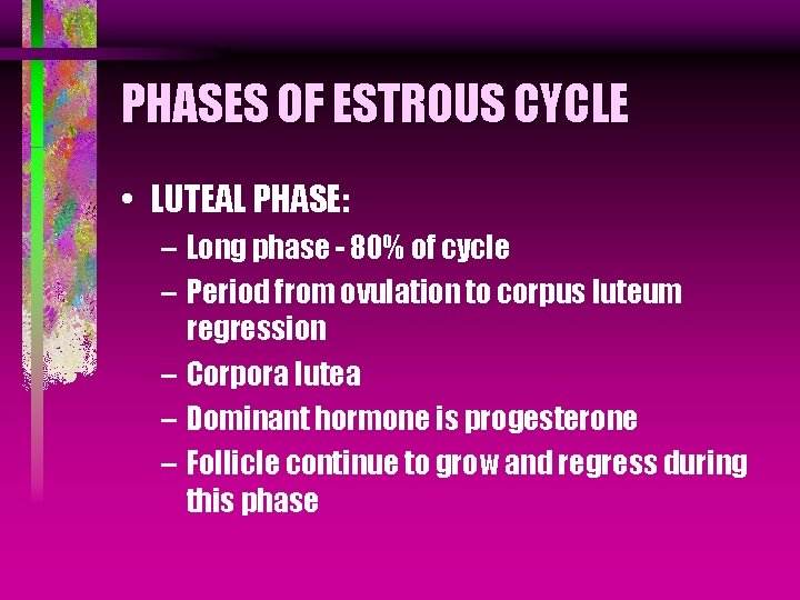 PHASES OF ESTROUS CYCLE • LUTEAL PHASE: – Long phase - 80% of cycle