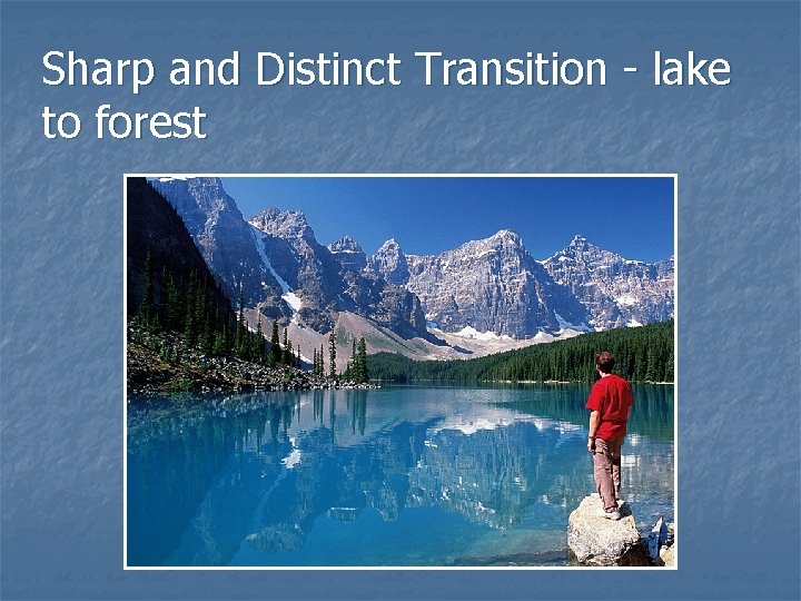 Sharp and Distinct Transition - lake to forest 