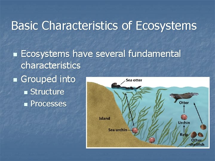Basic Characteristics of Ecosystems n n Ecosystems have several fundamental characteristics Grouped into Structure