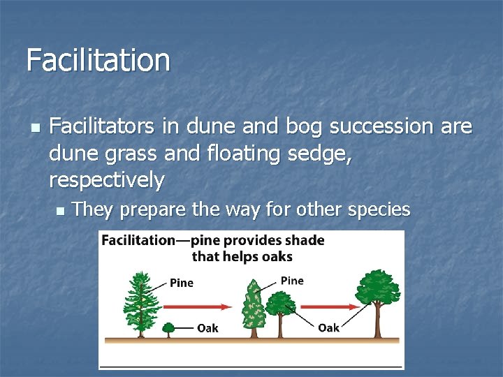 Facilitation n Facilitators in dune and bog succession are dune grass and floating sedge,