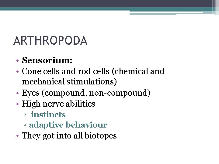 ARTHROPODA • Sensorium: • Cone cells and rod cells (chemical and mechanical stimulations) •