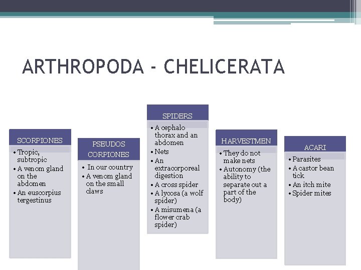 ARTHROPODA - CHELICERATA SPIDERS SCORPIONES • Tropic, subtropic • A venom gland on the