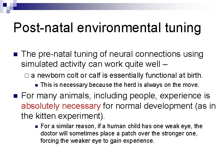 Post-natal environmental tuning n The pre-natal tuning of neural connections using simulated activity can