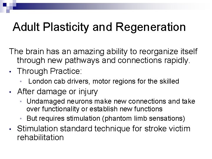 Adult Plasticity and Regeneration The brain has an amazing ability to reorganize itself through