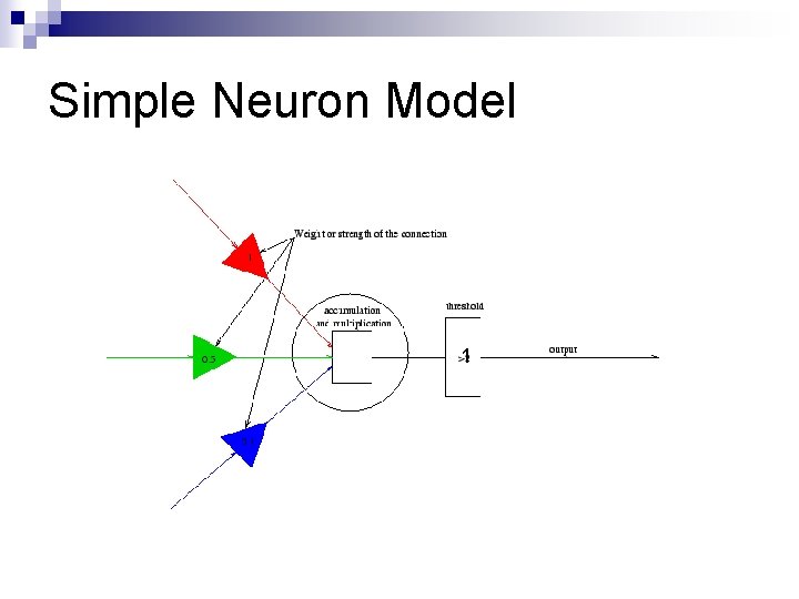 Simple Neuron Model 1 Simple Neuron Model 1