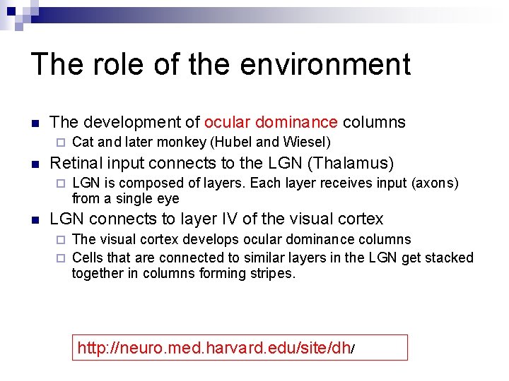 The role of the environment n The development of ocular dominance columns ¨ n The role of the environment n The development of ocular dominance columns ¨ n