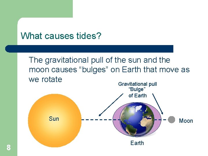 What causes tides? The gravitational pull of the sun and the moon causes “bulges”