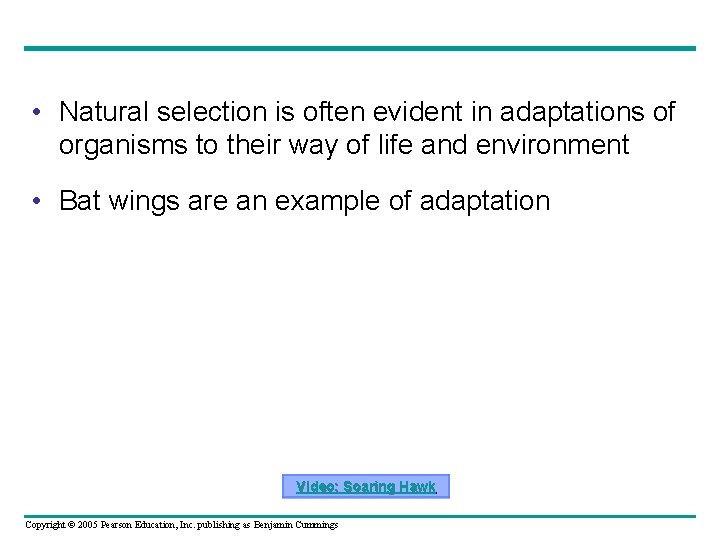  • Natural selection is often evident in adaptations of organisms to their way