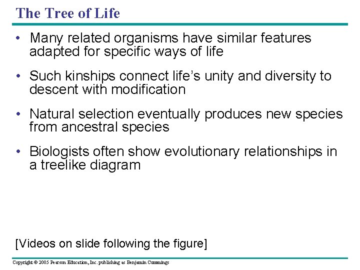 The Tree of Life • Many related organisms have similar features adapted for specific
