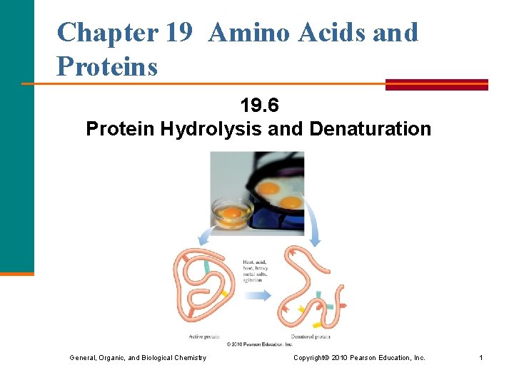 Chapter 19 Amino Acids and Proteins 19 6