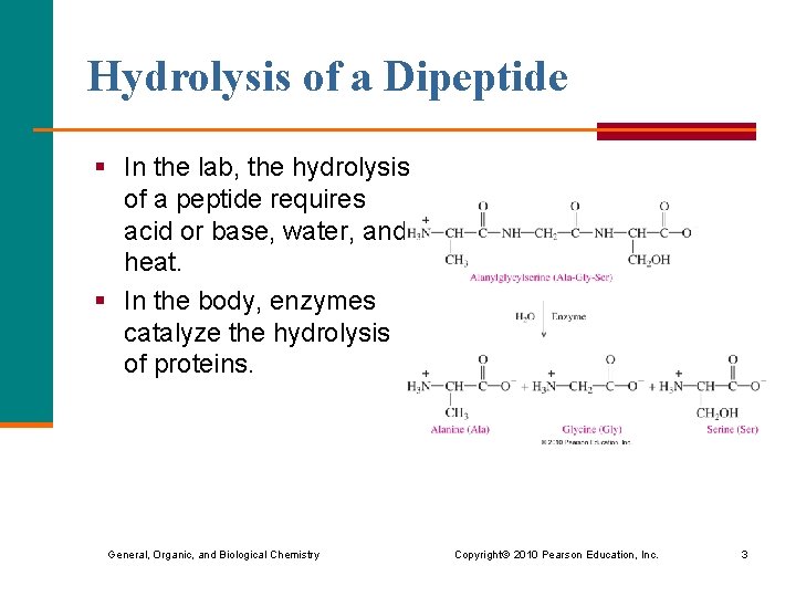 Hydrolysis of a Dipeptide § In the lab, the hydrolysis of a peptide requires